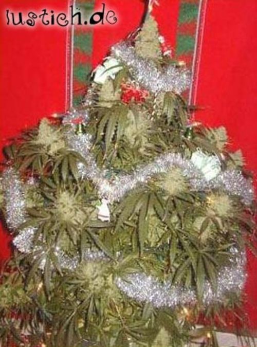 1533-hanf-weihnachtsbaum.jpg