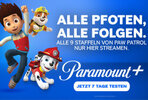 PawPatrol_Paramount+655.jpg