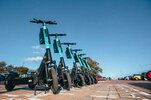Tier-Scooter.jpg