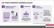 Infografik_Sammelklage-Final-2.jpg