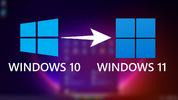 1734304344022.png