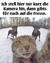 1751428137571.jpeg