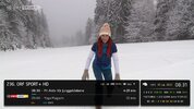 HD Austria1.jpg