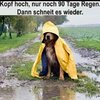 1754127081430.jpeg