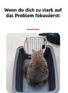 Zu stark fokussiert.jpg