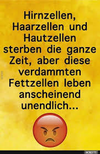 1755668602687.png