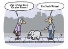 FB_IMG_1755498258597.jpg
