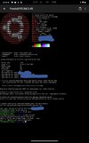 1000008347.jpg