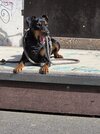 58360a87-1885-4b0d-80e3-f78dacef52ab.jpg