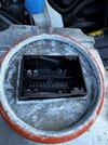 IMG_7957.jpeg