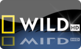 1_0_19_77_4_85_C00000_0_0_0 (1).png