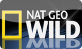 1_0_19_77_4_85_C00000_0_0_0 (3).png