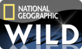 1_0_19_77_4_85_C00000_0_0_0 (2).png