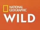 1548952083_national-geographic-wild.jpg