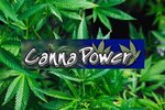 canna-power-rick-proctor-PGc9Vid8O24-unsplash-768x512.jpg