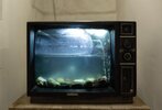 streaming-iptv-fishtank-sam-balye-768x524.jpg