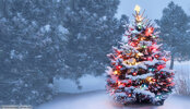 Weihnachten_7-696x400.jpg
