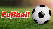 irre-entscheidung-bundesliga-zweifelt-an-fussball-wm-2022-in-katar-9620.png