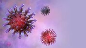 coronavirus.jpg