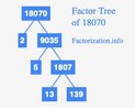 factor-tree-of-18070.jpg