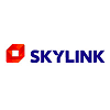 IC_skylink_100.png