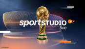 df-zdf-wm-2022-696x400.jpg