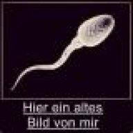 Andimelch