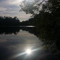 falkenkoenig