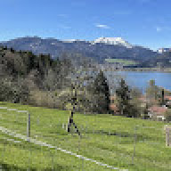 KlaMün