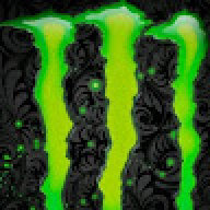 Saswagner13