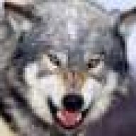Datenwolf