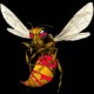 hornet72