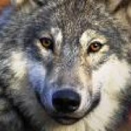 McWolf1976