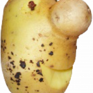 knoppel