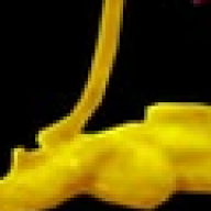 senfgeber