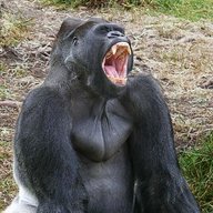 MonkeyKong