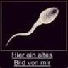 Andimelch