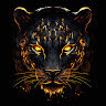 l_lessi06