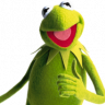 Kermit404