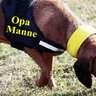 Opa Manne