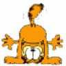 garfield07