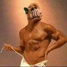 alfialf