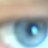 tomhen66