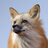 Fuchs96