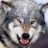 Datenwolf