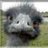 EMUGurke
