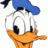 donduck