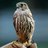 bird2