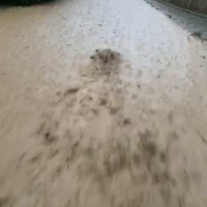 Zuviel_Regen