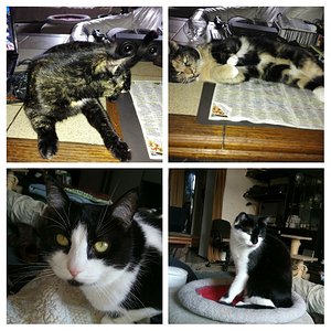 20170816_001533-COLLAGE (1)